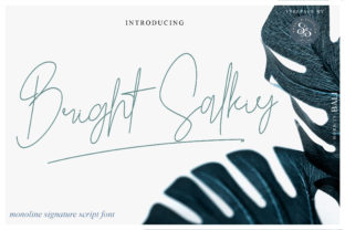 Bright Salkiy Font for Modern Web Design Projects