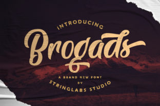 Brogads Script Font for Brand Campaigns and Elegant Typography