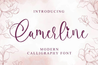 Camerline: A Script Font for Thoughtful Typography