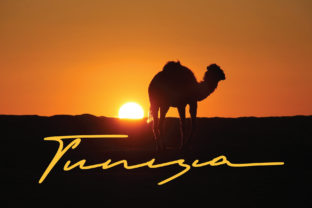 Tunisia Font: A Stylish Script for Web Design Projects